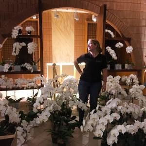 Meet your Posher, Charlotte